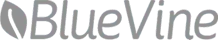 Client-Image